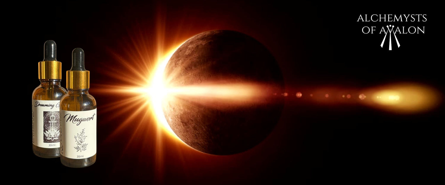 Harnessing Ancient Wisdom: How We Can Harness the Power of the Moon Through Plants and Herbal Tinctures to Balance the Mind, Body & Spirit