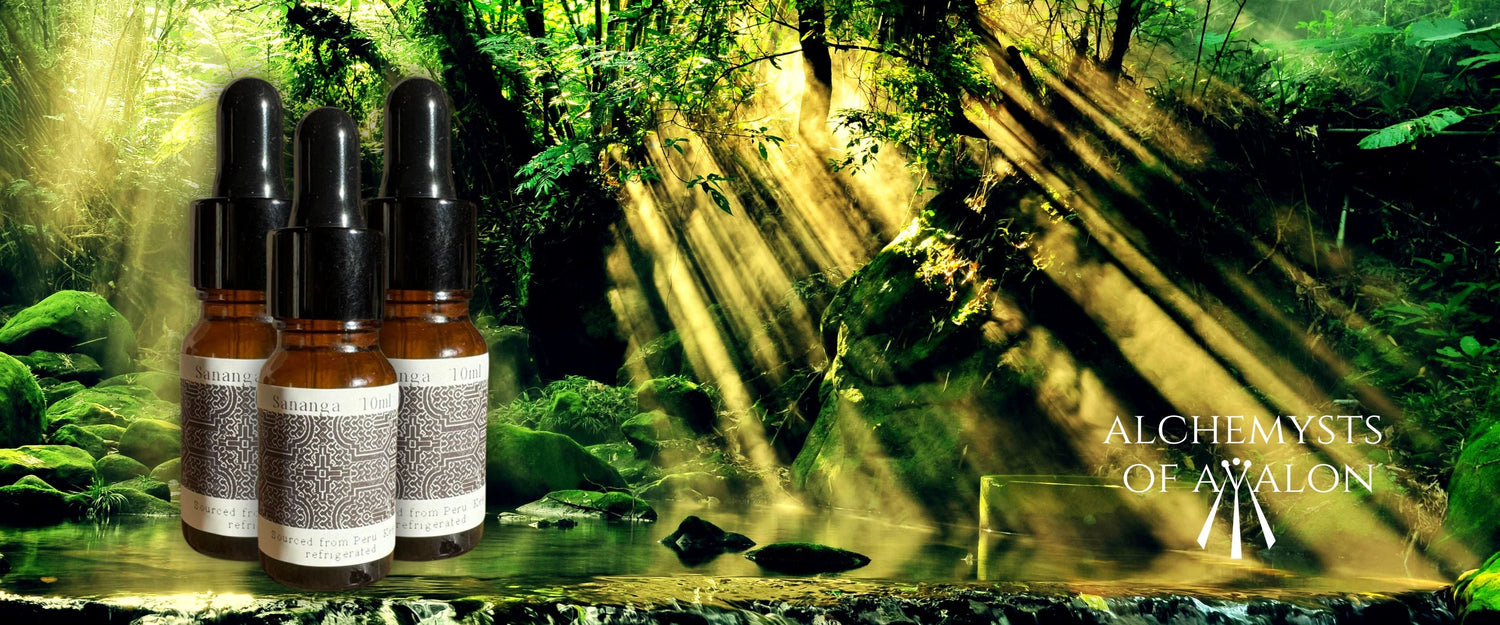 Discover the Ancient Wisdom of Sananga: A Sacred Gift from the Amazon