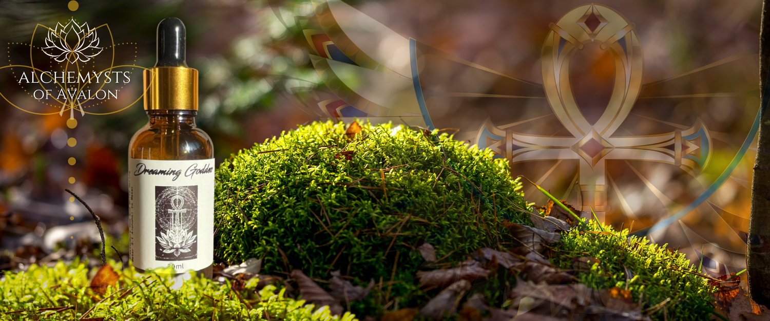 Dreaming Goddess Tincture: Unlocking the Ancient Wisdom of Dream States