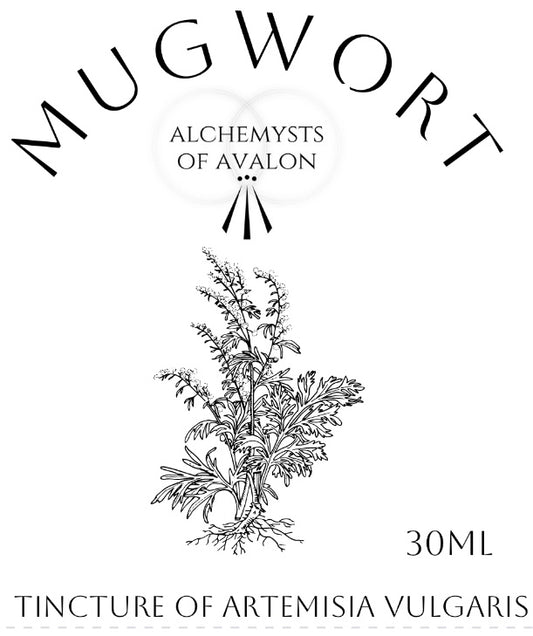 Mugwort Tincture - Handcrafted Herbal Extract 30ml