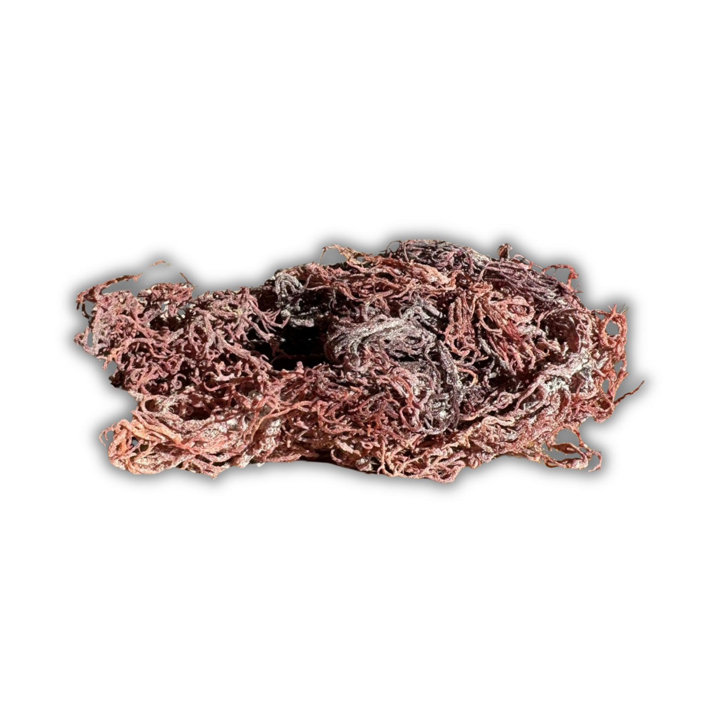 St Lucian PURPLE Sea Moss | Wildcrafted, Organic and Raw 100g