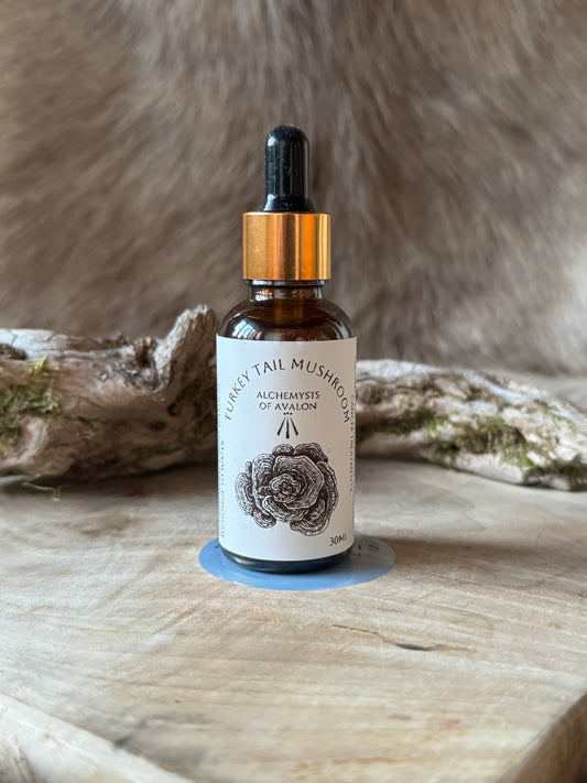 Turkey Tail Mushroom Tincture – 30ml