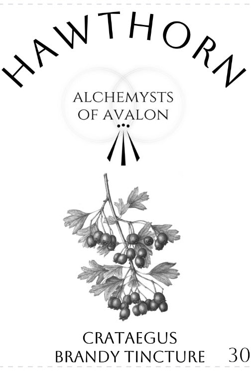 Hawthorn Tincture