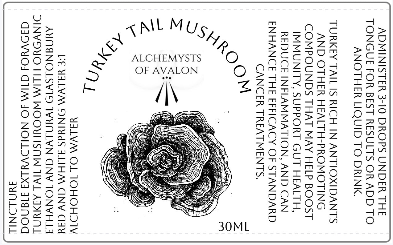Turkey Tail Mushroom Tincture – 30ml