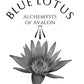 Blue Lotus Nymphaea Caerulea 30ml Tincture
