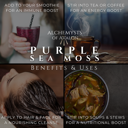 St Lucian PURPLE Sea Moss | Wildcrafted, Organic and Raw 100g