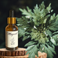 Mugwort Tincture - Handcrafted Herbal Extract 30ml