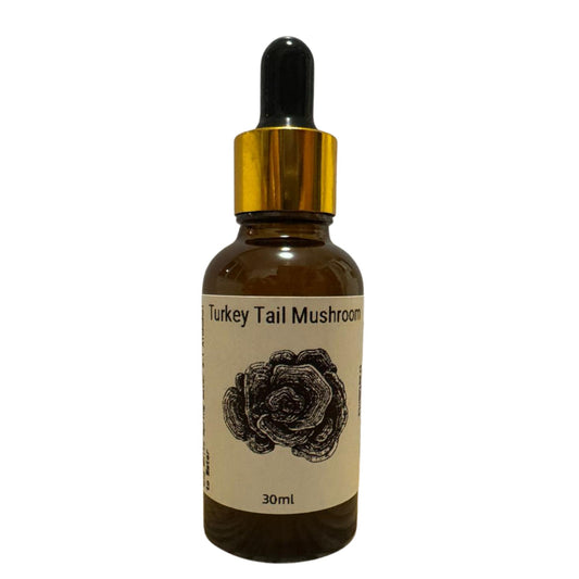 Turkey Tail Mushroom Tincture – 30ml